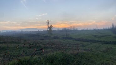 Anbar və emalatxanalar: Ünvan: Qusar şəhəri Ləyər kəndi (ləzgi ləyər) 1hk 68 sot bağ yeri — 32