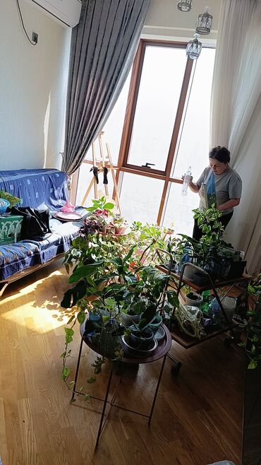 Duş kabinaları, arakəsmələr: Arakəsmə, Düzbucaqlı — 23