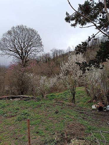 4 otaqlı ev certyojları: 4 otaqlı, 75 kv. m, Kredit yoxdur, Orta təmir — 9