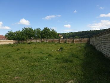 Torpaq sahələrinin satışı: 15 sot, Kənd təsərrüfatı, Mülkiyyətçi, Kupça (Çıxarış) — 39