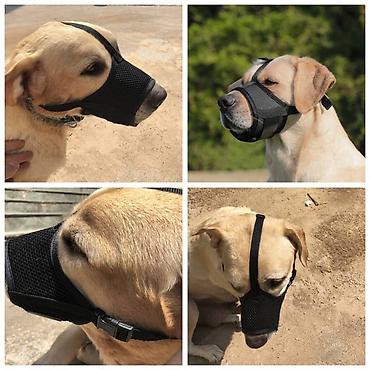 Продажа собак: Устали от шерсти и линьки.Продаю машинку для стрижки собак и — 23