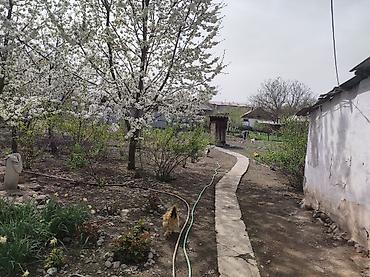 Продажа коттеджей и домов: Срочно !!! Продам дом в центре кара балты. Участок 11сотых — 11