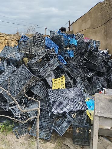 yeşikler: Məhsul: Plastik yığım və daşınma yeşikləri (qəfəslər) Təsvir: - — 2