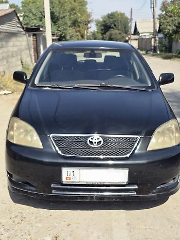 Toyota Corolla: 2002 г., 1.6 л, Автомат, Бензин, Хэтчбэк