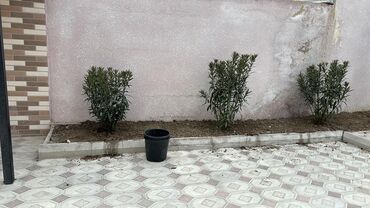 Həyət evləri və villaların satışı: Binəqədi qəs. 5 otaqlı, 200 kv. m, Kredit yoxdur, Yeni təmirli — 27