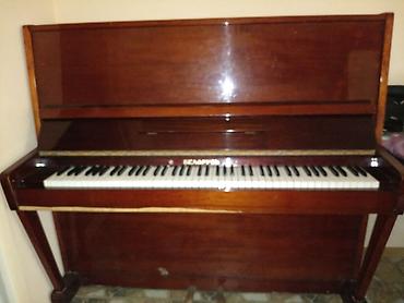 piano az: Buzovnada hazir köklenib — 2