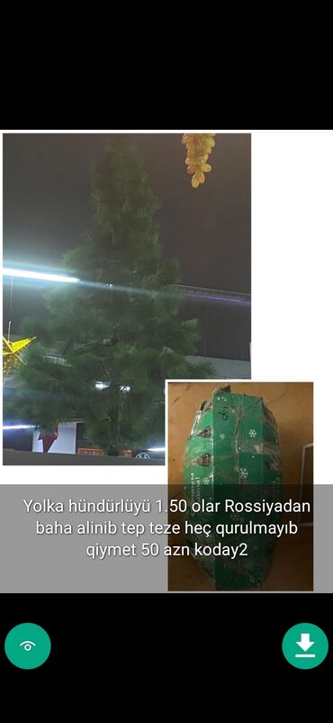 Yeni il ağacları: Yolkalar şaxda baba sekillerde qiymət məlumat qeyd olunub unvan Gence -da lalafo.az — 25 Yeni il ağacları: Yolkalar şaxda baba sekillerde qiymət məlumat qeyd olunub unvan Gence — 25