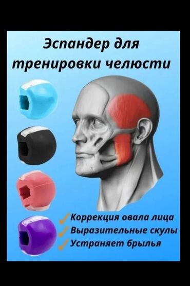 эспандер купить бишкек: Силовой тренажер, Гиперэкстензия, Новый, Самовывоз, Платная доставка