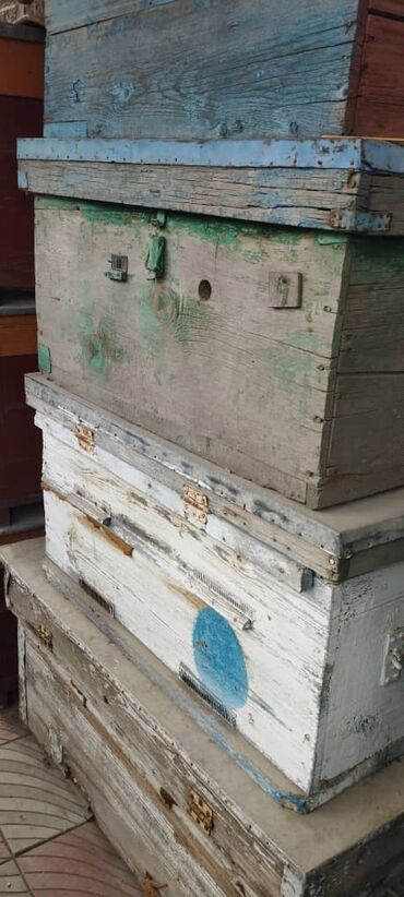 улики пчелы: Продаю улики на 24 рамки, система даддан