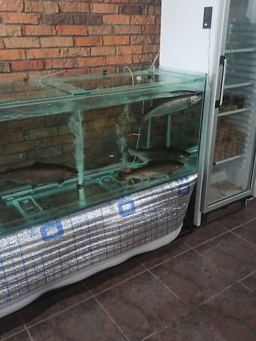 Аквариумы: Аквариумы на заказ под форель и для дома! делаю ремонт а так-же — 13