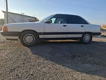 Audi: Audi 100: 1988 г., Седан — 15