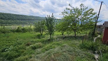 Torpaq sahələrinin satışı: 12 sot, Biznes üçün, Mülkiyyətçi, Kupça (Çıxarış) — 9