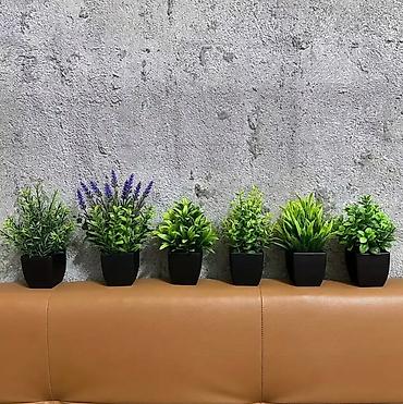 dipçək: 📍 “İstər ofis, istər ev – hər məkana uyğun, keyfiyyətli və dayanıqlı — 8