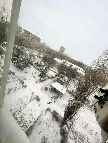 Продажа квартир: 2 комнаты, 50 м², 105 серия, 5 этаж, Евроремонт — 5