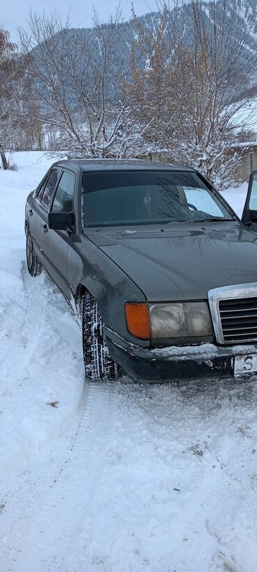 Mercedes-Benz: Mercedes-Benz W124: 1989 г., 2 л, Механика, Бензин, Седан