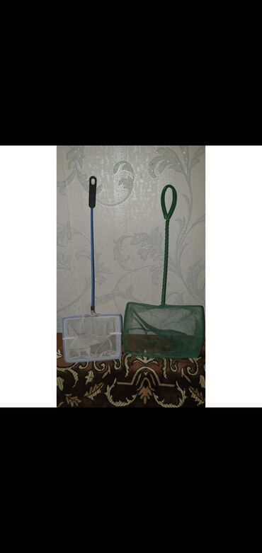 Digər məhsullar: Akvarium aksesuarları satılır təcili 🆘️ -da lalafo.az — 4 Digər məhsullar: Akvarium aksesuarları satılır təcili 🆘️ — 4