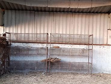 продаю кукуруз: Продаю сетки для курей отдам за 9500 - Модульные секции из — 5