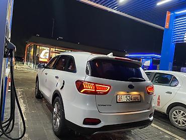 Kia: Kia Sorento: 2018 г., 2 л, Автомат, Дизель, Кроссовер — 12