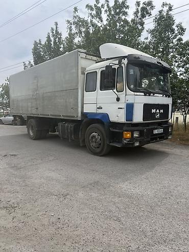 wuling mini ev: Грузовик, MAN, Дубль, 7 т, Б/у — 1