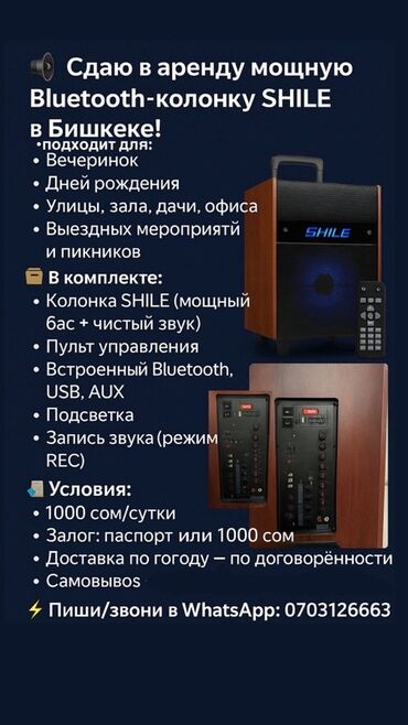 колонка с микрофоном для пения: Акустическая система Shile с 2-я беспроводным микрофоном, выполненная