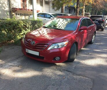 corolla runx: Toyota Camry: 2009 г., 2.5 л, Автомат, Бензин, Седан