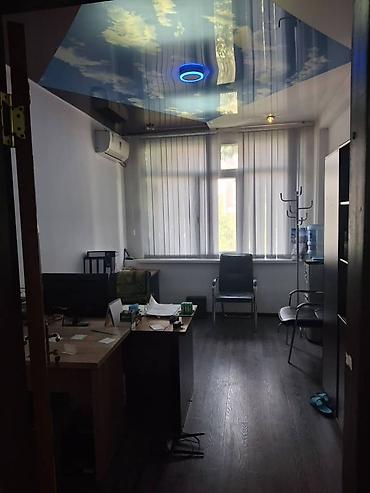 15: 15 м², Долгосрочно — 1
