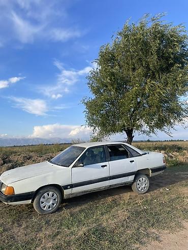 Audi 100: 1988 г., Механика, Седан