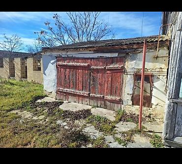 bine sovxoz: 2 otaqlı, 56 kv. m, Kredit yoxdur, Yeni təmirli — 3