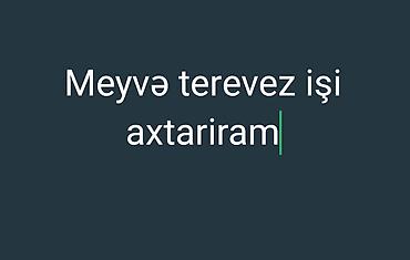 taksi is: Fermer, Kişi, 26 yaş, 5 ildən artıq təcrübə — 1