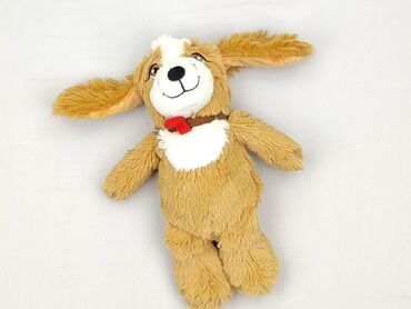 Mascot Dog, condition - Perfect