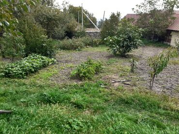 Torpaq sahələrinin satışı: 10 sot, Tikinti, Mülkiyyətçi, Kupça (Çıxarış) — 7