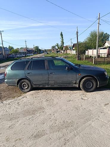 sprinter 4 4: Nissan Primera: 2000 г., 2 л, Механика, Дизель, Универсал — 2