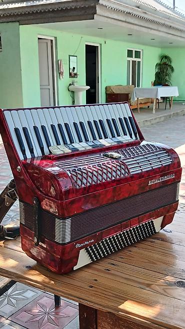 akardion: Royal Standard “Montana” akkordeon 12 reqister, 120 bass,yaxwi — 1