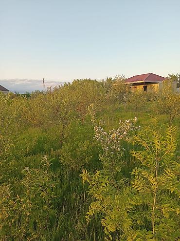 şağan torpaq: 6 sot, Tikinti, Mülkiyyətçi, Kupça (Çıxarış) — 7