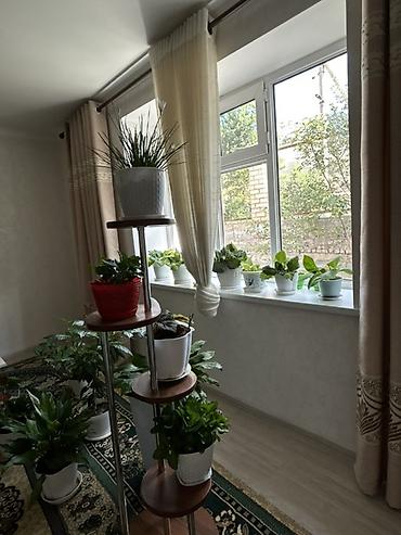 Продажа коттеджей и домов: Продается большой дом в центре г. Нарын 📍 Адрес: ул. Торобаева. Дом — 23