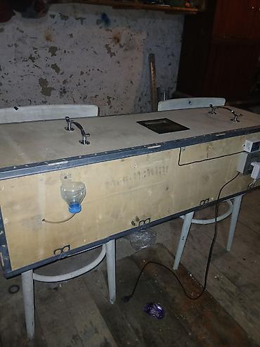 İnkubatorlar: 50 yumurta, Azərbaycan, Tam avtomat — 5