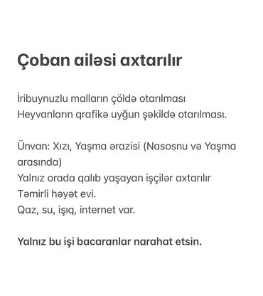 is elanlari sumqayit 2024: Çoban ailəsi axtarılır İribuynuzlu mal-qaranın çöldə otarılması