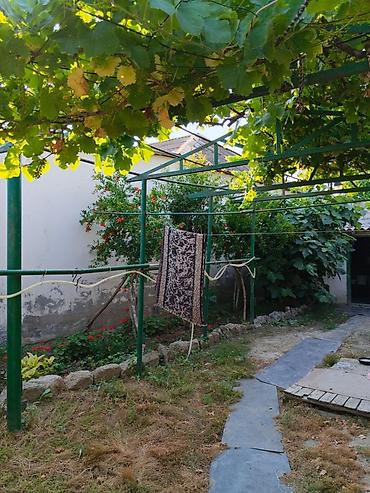 Həyət evləri və villalar: Sabunçu qəs. 3 otaqlı, 63 kv. m, Orta təmir — 6
