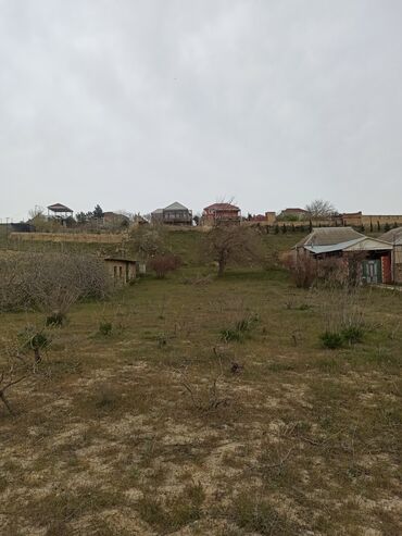 Torpaq sahələrinin satışı: 30 sot, Mülkiyyətçi, Kupça (Çıxarış) — 13