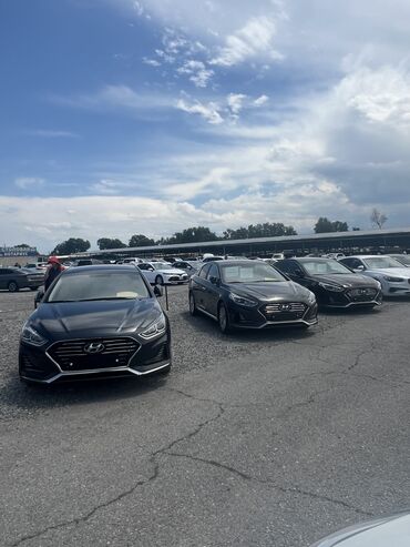 рассрочка авто: Hyundai Sonata: 2018 г., 2 л, Автомат, Газ, Седан