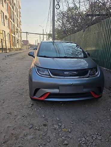 mercedes benz smart: BYD Dolphin: 2022 г., Автомат, Электромобиль, Хэтчбэк — 1