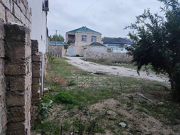 sarayda torpag: Binə bolluqda Benövşə sadlıq sarayından 250 metr içeridə 3 sot 13×23 — 2
