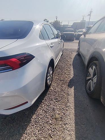 carlin kit: Toyota Corolla: 2021 г., 1.8 л, Вариатор, Бензин, Седан — 7