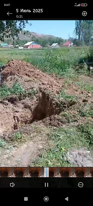 Услуги экскаватора: Экскаватор | Выкорчевывание пней — 6