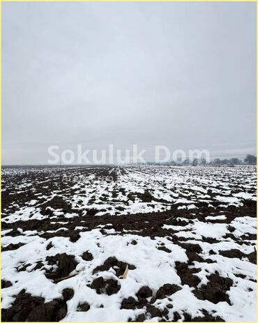 продаю зем участок: 🏠Продается поливная земля сельхозназначения в с. Сокулук 🟡Размер