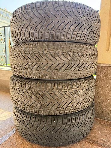 225 55 17: Комплект зимних шин Nokian Tyres WR SUV 4 - Размер: 225/65 R17 - — 4