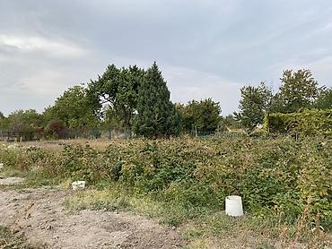 Продажа участков: 5 соток, Для сельского хозяйства — 2