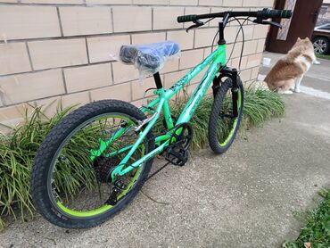 Dečiji bicikli: Decij bicikl Explorer T-Rex 20 sa amortizerom i brzinama zelena Tekst — 7