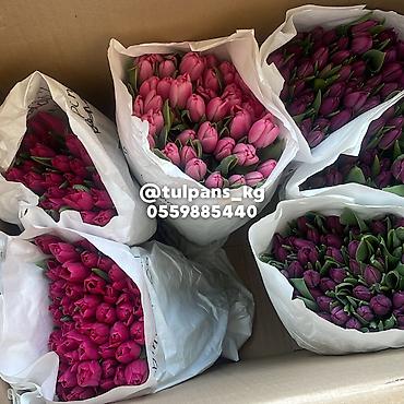 Цветы и букеты: СВЕЖИЕ тюльпаны к 8 Марта 🌷 Голландские луковицы 🇳🇱 | 40–50 см Опт и — 7