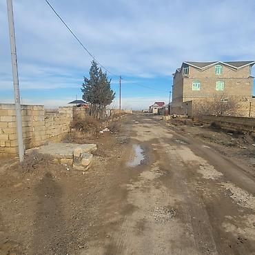 cidir duzu: 5 sot, Tikinti, Mülkiyyətçi, Kupça (Çıxarış) — 1